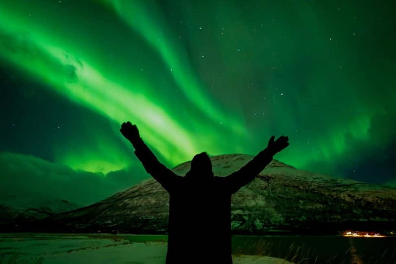 Tromsø: Northern Lights Focus Tour, German/English, minibus, meal - How the seven hours usually unfold