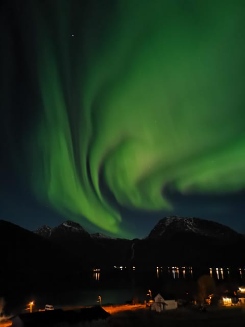Tromsø: Northern Lights Hunt. Local Guide and Basecamp. - Is $199 a fair price?