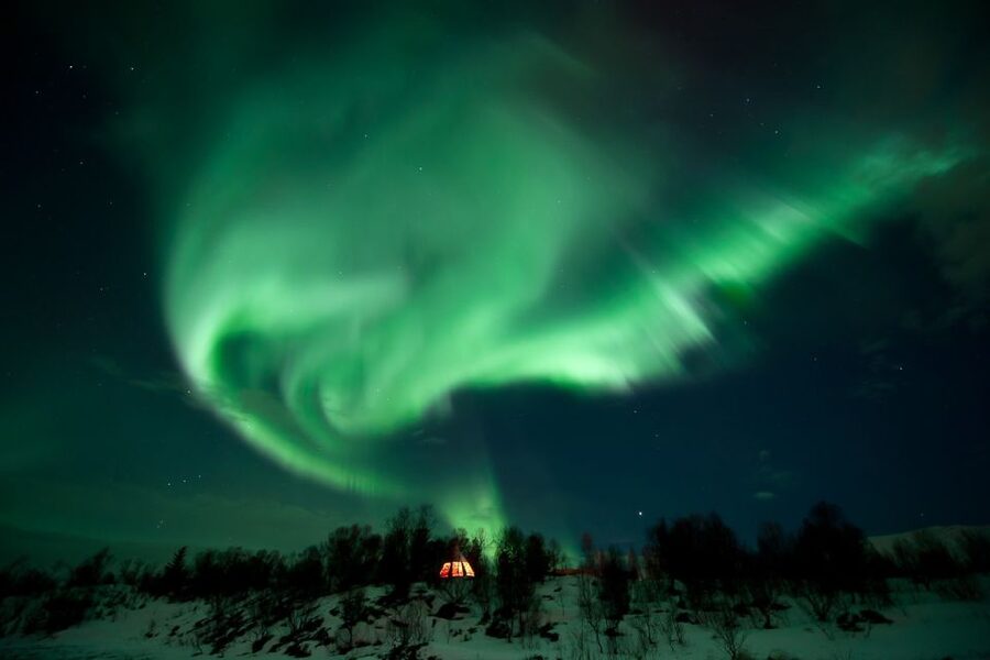 Tromsø: Northern Lights Husky Visit with Traditional Dinner - What this husky evening is really about