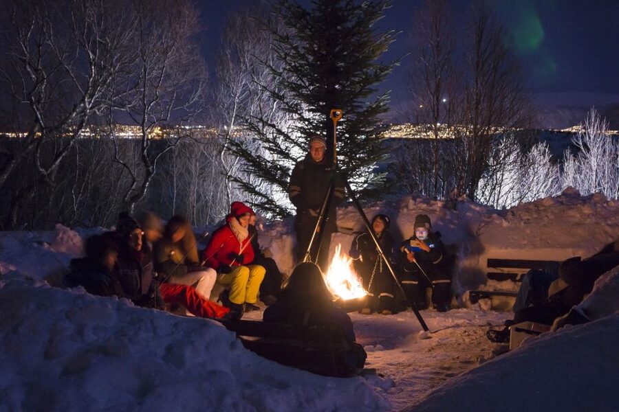 Tromsø: Northern Lights Husky Visit with Traditional Dinner - Bacalao by the fire