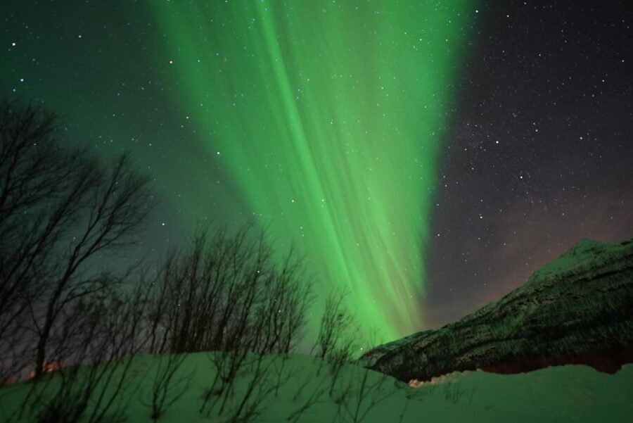Tromsø: Northern Lights Minibus Small Private Tour Group - The minibus ride through Tromsø and beyond