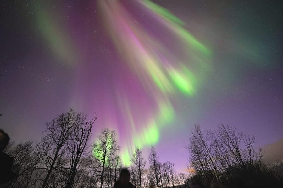 Tromso: Northern Lights Minibus Tour with Campfire - Key points to know before booking