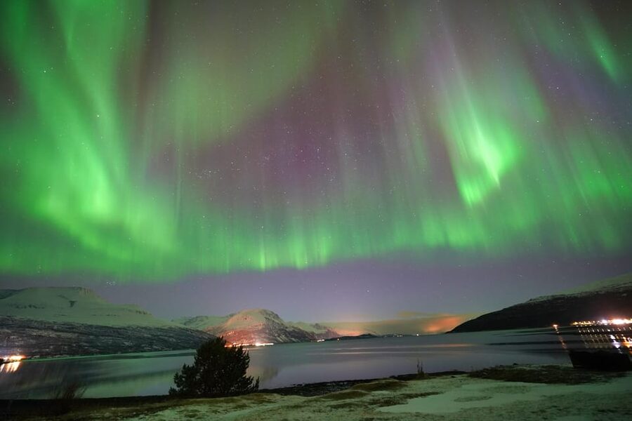 Tromso: Northern Lights Minibus Tour with Campfire - What the minibus ride is really like