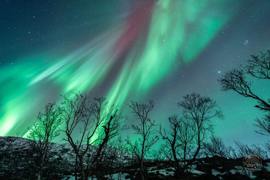 Tromsø: Northern Lights Photography Small-Group Tour - Why this aurora chase is different