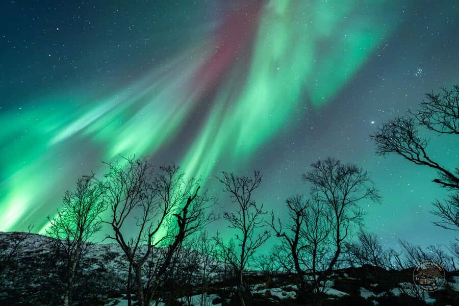 Tromsø: Northern Lights Photography Tour - Who will enjoy this tour most