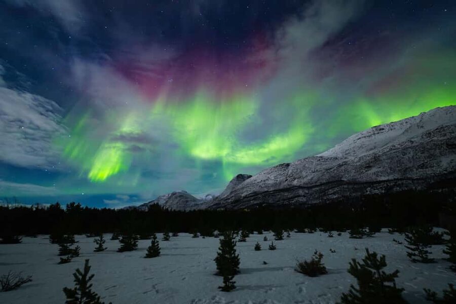 Tromsø: Northern Lights Photography Tour - Should you book Northern Soul Adventures?