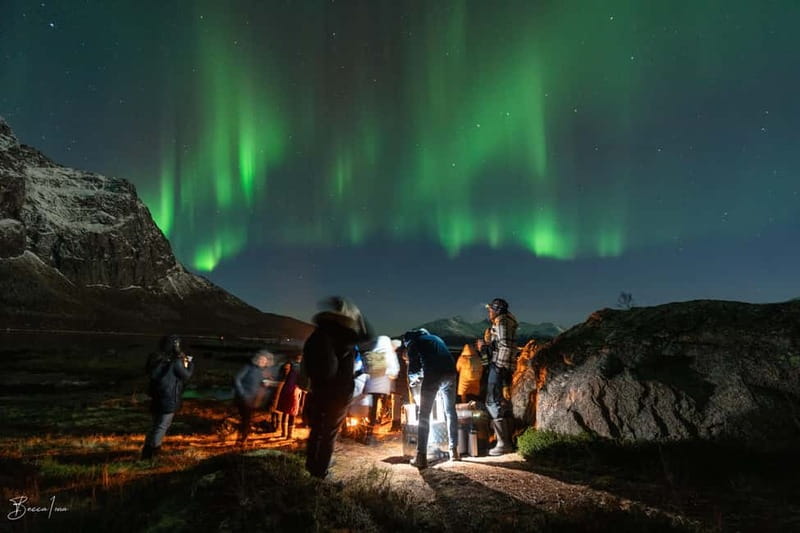 Tromsø: Northern Lights Safari - Campfire time under the Arctic sky