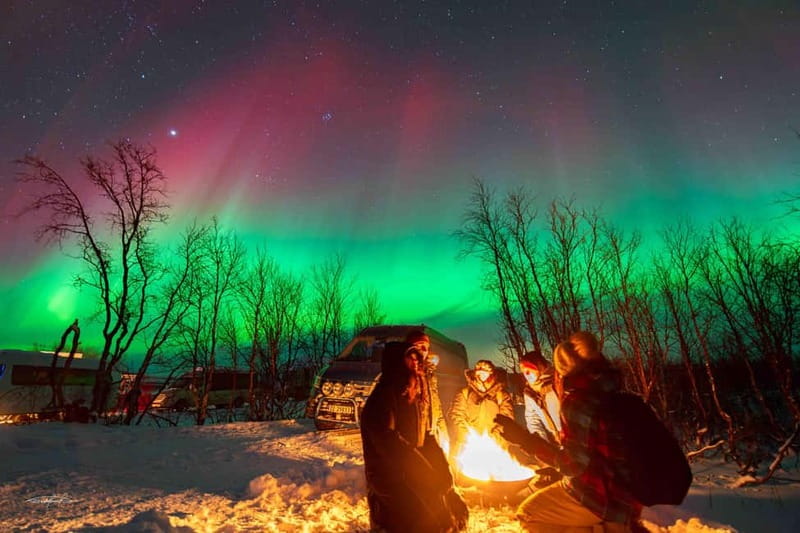 Tromsø: Northern Lights Safari - Free photos, and what they are worth