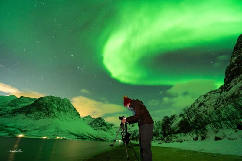Tromsø: Northern Lights Safari - Standard group or small group of 15
