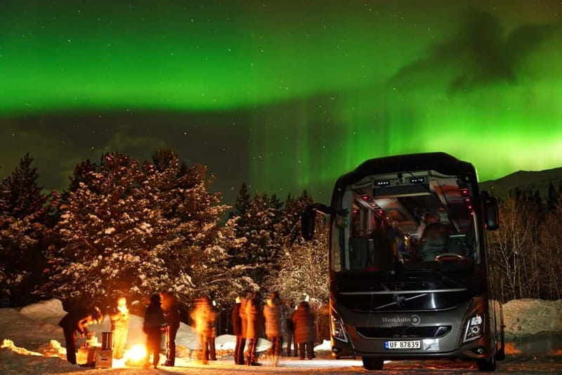 Tromsø: Northern Lights Safari - How much value do you get for $146?