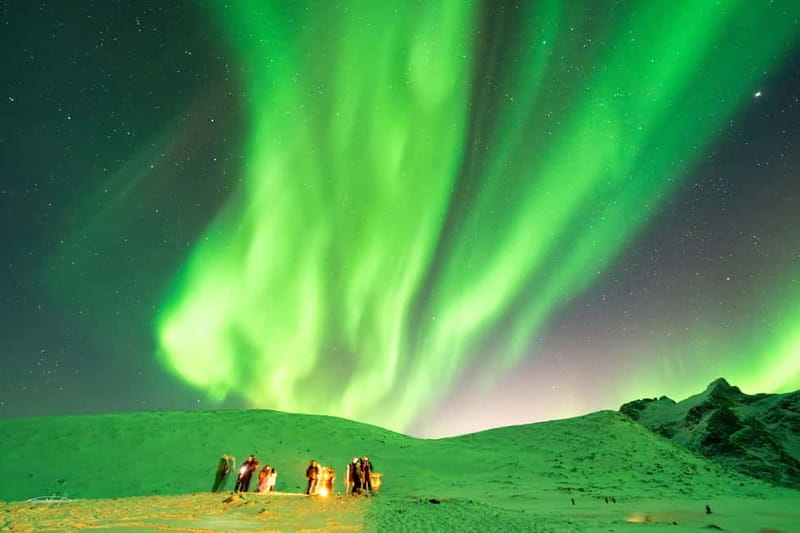 Tromsø: Northern Lights Safari - Who should book this safari?