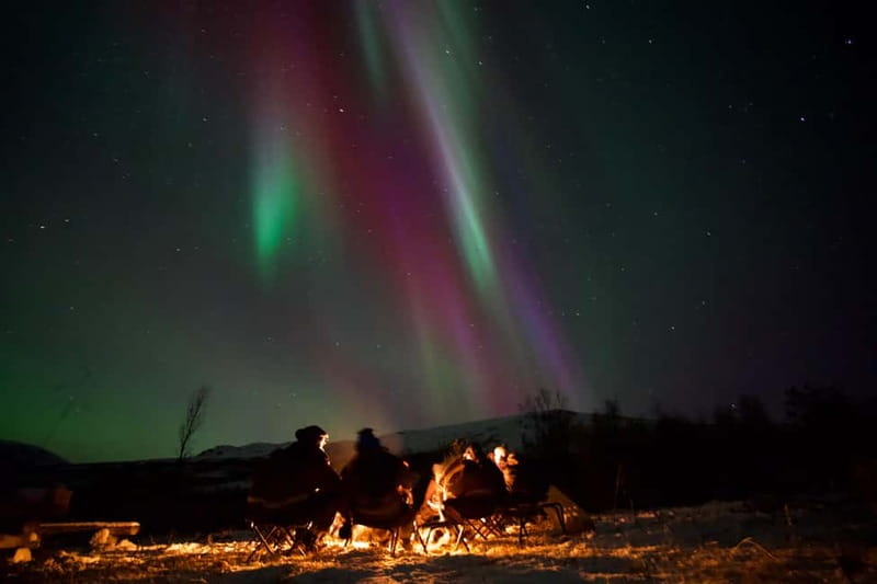 Tromsø: Northern Lights Tour - Key points to know before you book