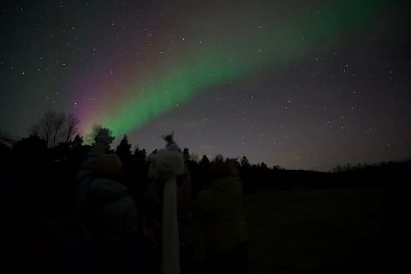 Tromsø: Northern Lights Tour - Is $206 a fair price?