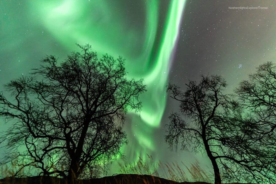 Tromsø: Northern Lights Tour w/Photo, Suits and Local Guide - Who should book this tour