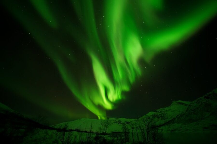 Tromsø: Northern Lights Tour with Free Professional Portrait - What the $181 price really covers