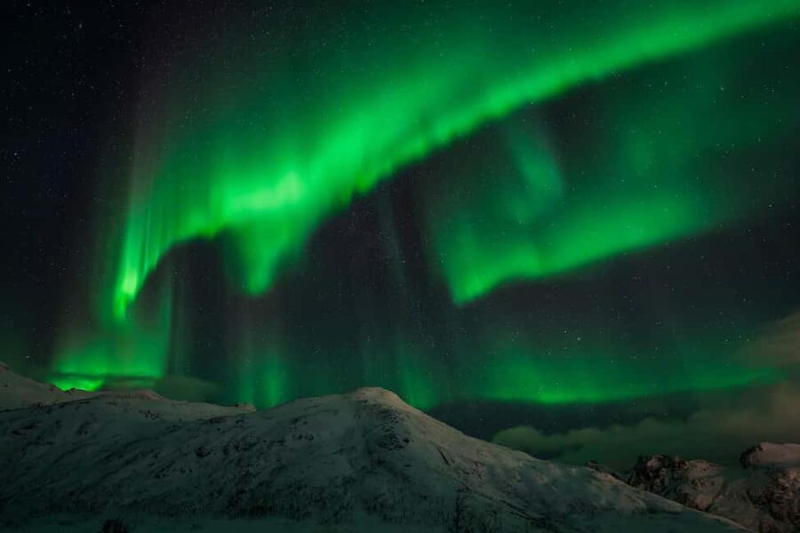 Tromsø: Northern Lights Tour with Guaranteed Sightings - Small group comfort, with one tradeoff