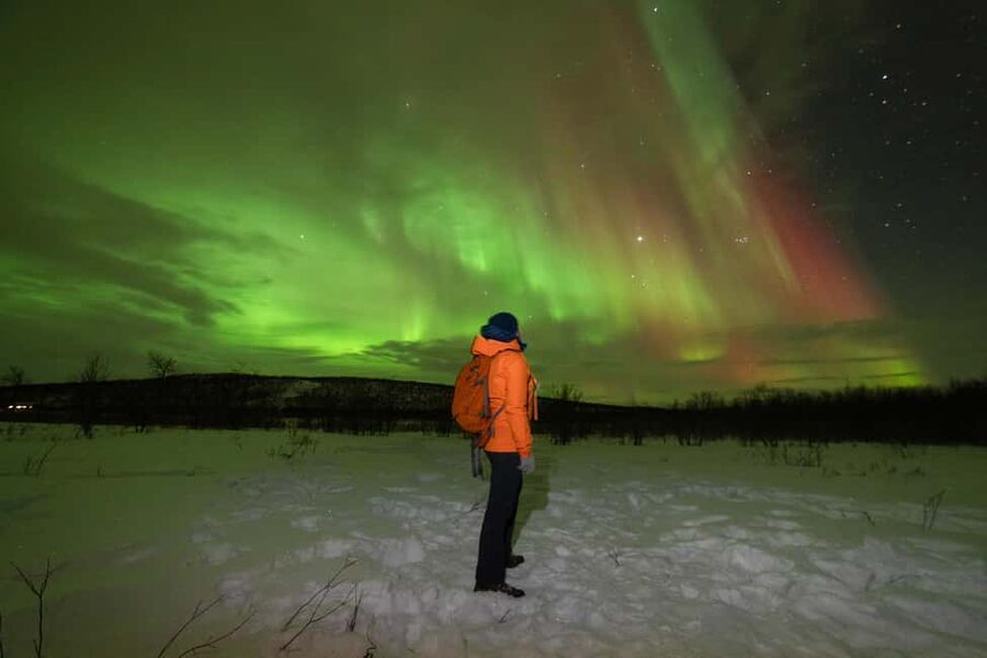 Tromsø: Northern Lights tour with local experts - Key points at a glance
