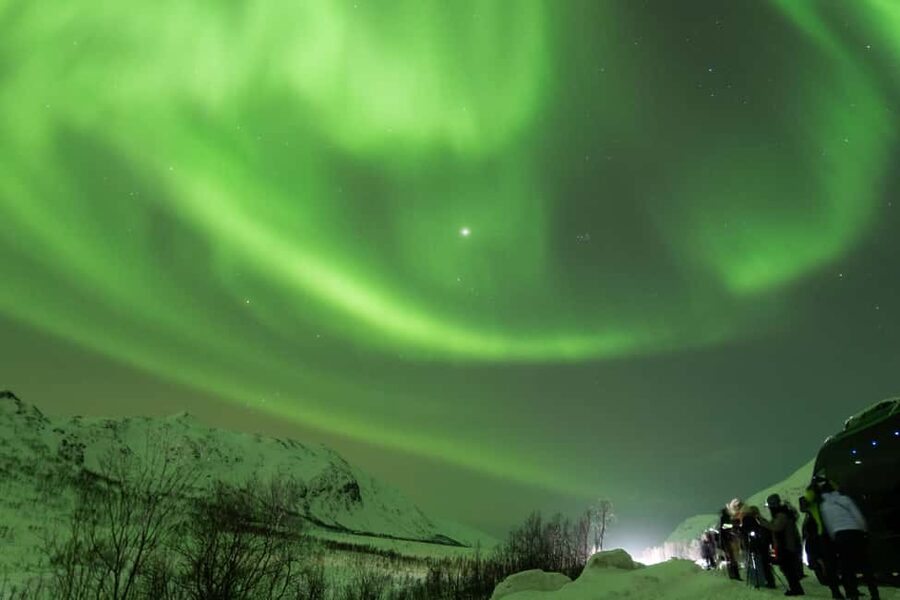 Tromsø: Northern Lights tour with local experts - Thermal suits, hot drinks, and the campfire stop