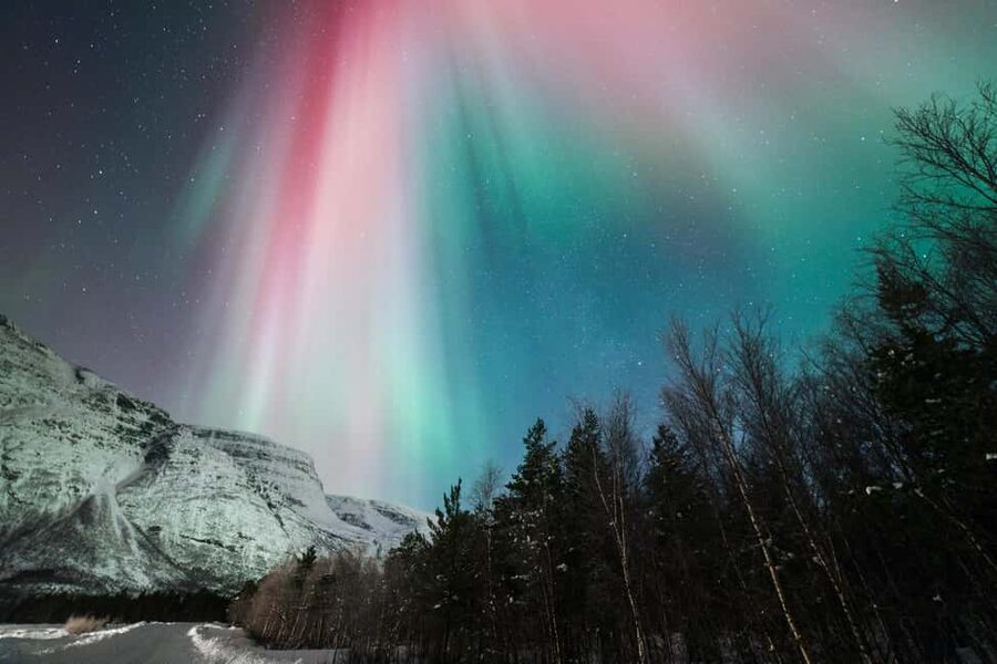 Tromsø: Northern Lights tour with local experts - Is $195 a fair price?