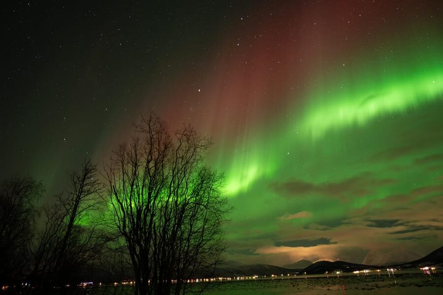 Tromsø: Northern Lights Tour with Local Guide and Photos - Professional portraits without carrying a tripod
