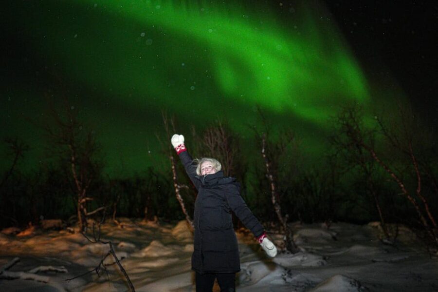 Tromsø: Northern Lights Tour with Local Guide and Photos - Timing, comfort, and the less glamorous details