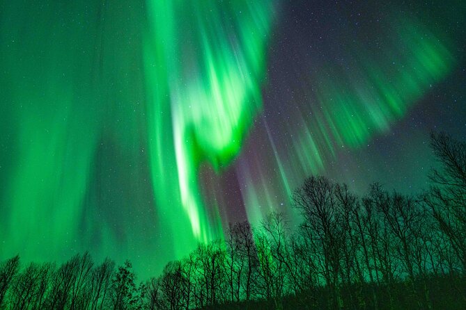 Tromsø Northern Lights with Campfire and Professional Photos - Staying warm in Tromsø’s winter dark