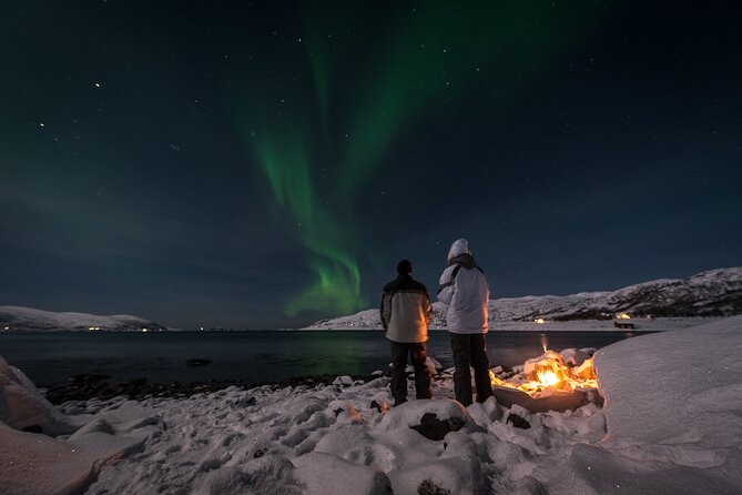 Tromsø Norway - Small Group Aurora Hunt Tour with a local guide - The first stop: central Tromsø under the auroral oval