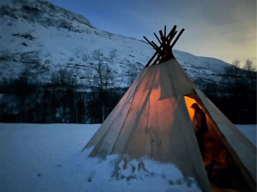 Tromsø: Reindeer Experience at a Sami Camp - From Tromsø to Lavangsdalen by Minibus