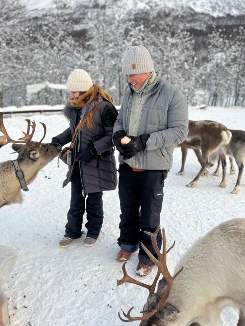 Tromsø: Reindeer Experience at a Sami Camp - Meeting a Sami Family and Hearing Their Story
