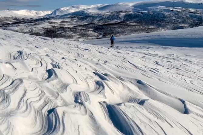 Tromso: Reindeer Feeding and Snowshoeing Tour with Lunch - Key points to know before booking