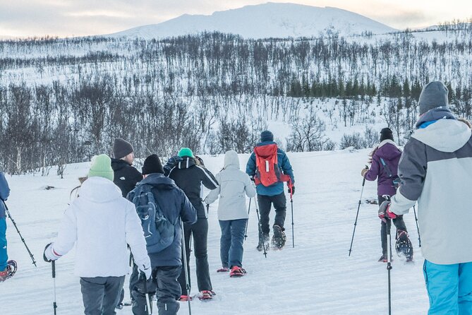 Tromso: Reindeer Feeding and Snowshoeing Tour with Lunch - Who will enjoy this Tromsø outing?