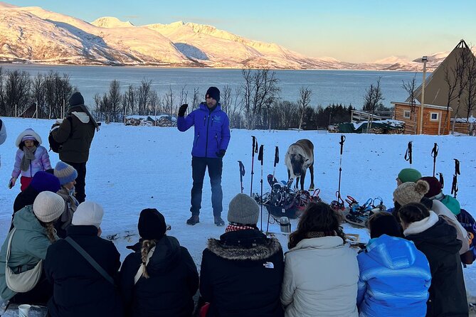 Tromso: Reindeer Feeding and Snowshoeing Tour with Lunch - A gentle 1 to 1.5 hours on snowshoes
