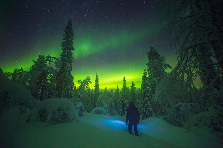 Tromsø: Reindeer Sled, Dinner, and Chance of Northern Lights - Is $219 good value?