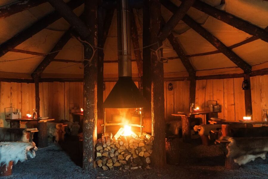 Tromsø: Reindeer Sled, Dinner, and Chance of Northern Lights - What the reindeer sled ride is really like