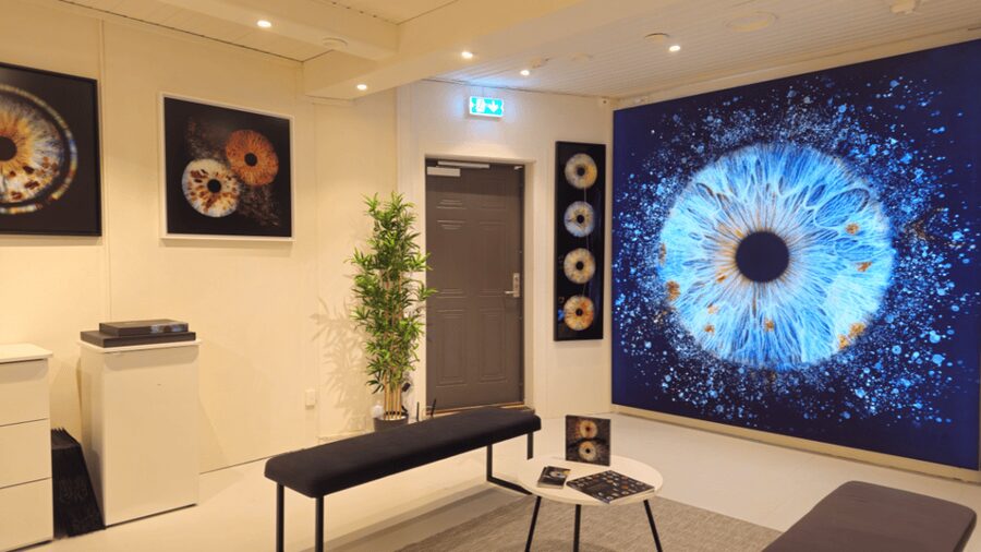 Tromsø: Reveal Your Eye Experience at the Iris Galerie - Key points at a glance