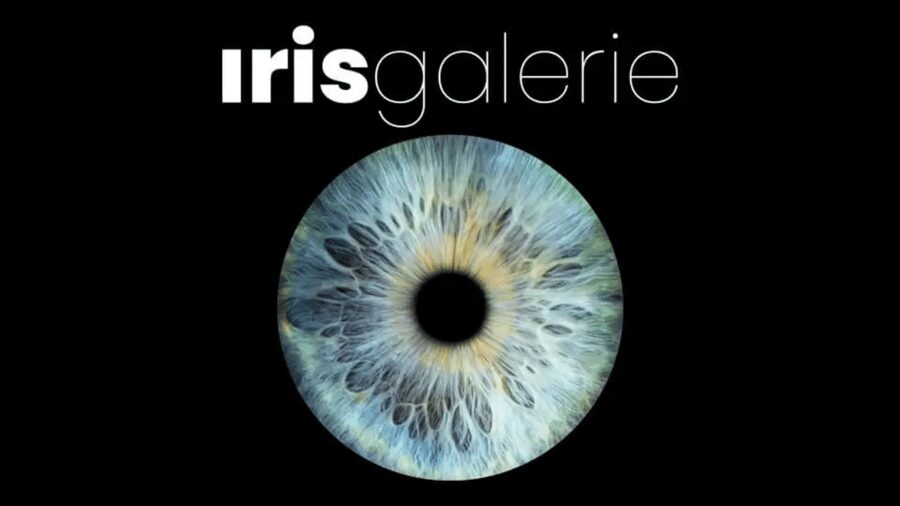 Tromsø: Reveal Your Eye Experience at the Iris Galerie - What happens inside Iris Galerie Tromsø