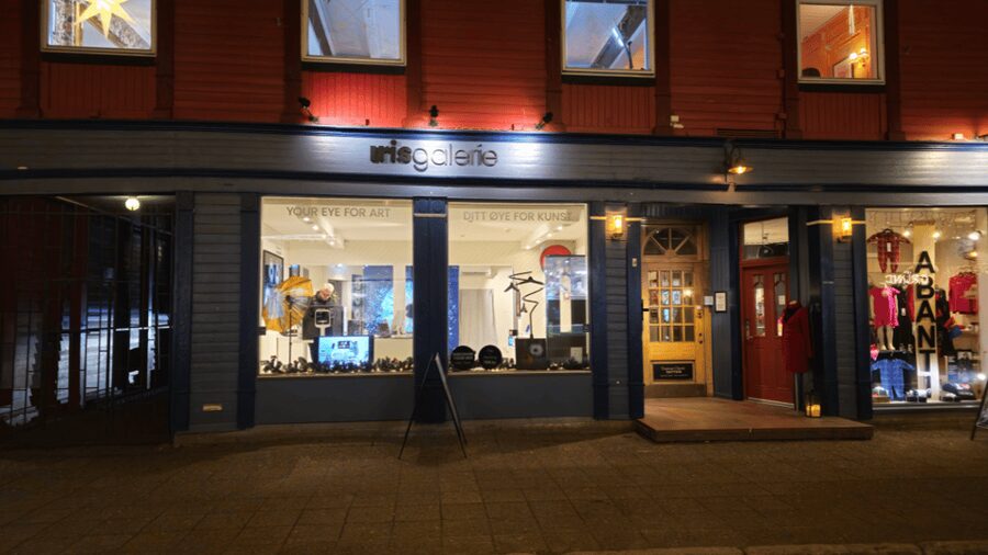 Tromsø: Reveal Your Eye Experience at the Iris Galerie - Who will get the most from this experience?