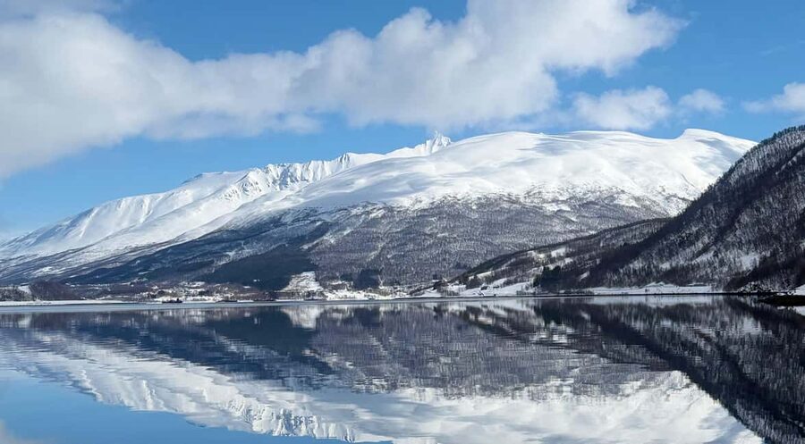 Tromsø’s Top-Rated Fjord & Fishing Cruise – All-Inclusive - Why this five-hour Tromsø cruise works so well