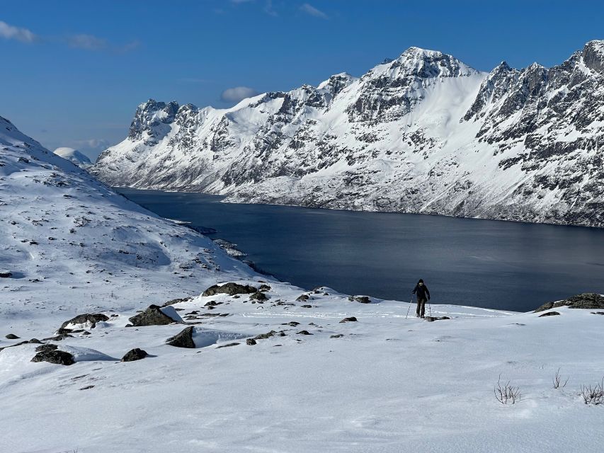 Tromso: Scenic & Eco-Friendly Snowshoeing Tour - Wildlife and local knowledge on the trail