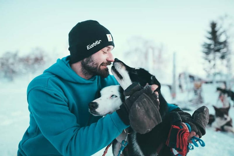 Tromsø: Self-Drive Husky Dog Sledding Adventure - Meeting more than 130 Alaskan huskies