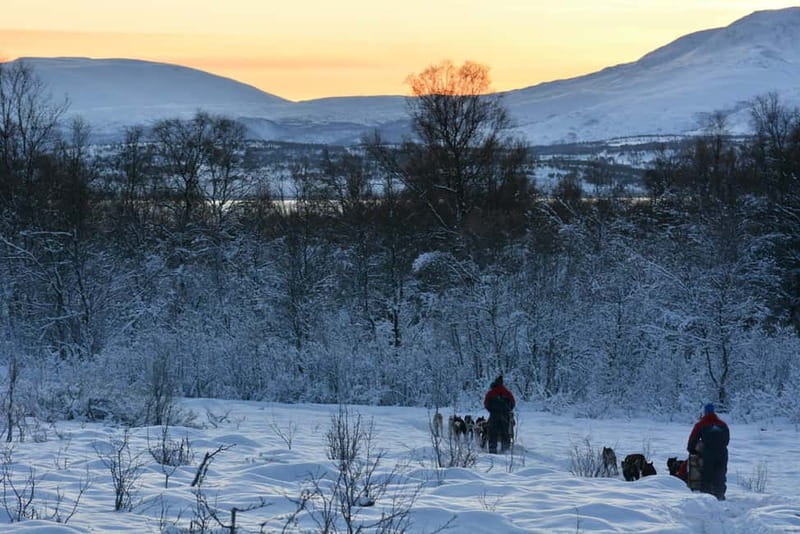 Tromsø: Self-Drive Husky Dog Sledding Adventure - Warm suits, boots, and what to wear underneath