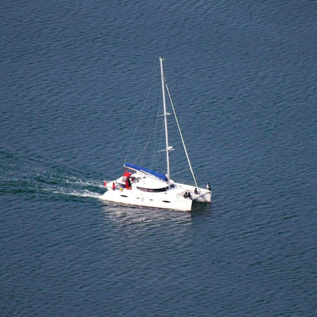 Tromso: Sightseeing Cruise by Catamaran with Snacks & Drinks - Warm drinks, snacks, and four toilets