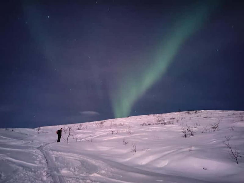 Tromsø: Ski touring (ski de randonnee) - Who Should Book This Day