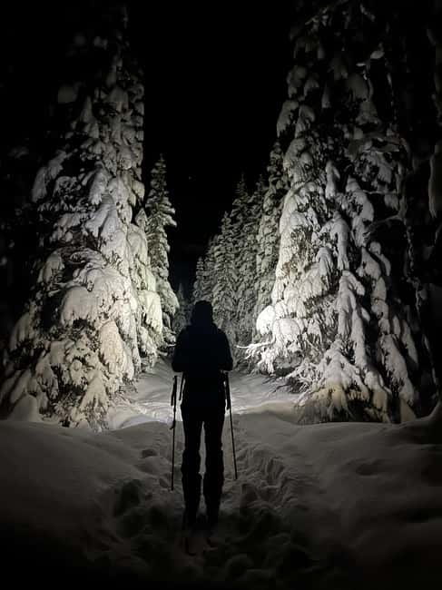 Tromsø: Ski touring (ski de randonnee) - Polar Night Ski Touring From December to February
