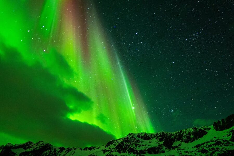 Tromsø: Small-Group Adventurous Northern Lights Hunt - Meeting the black minibus at Magic Ice Bar