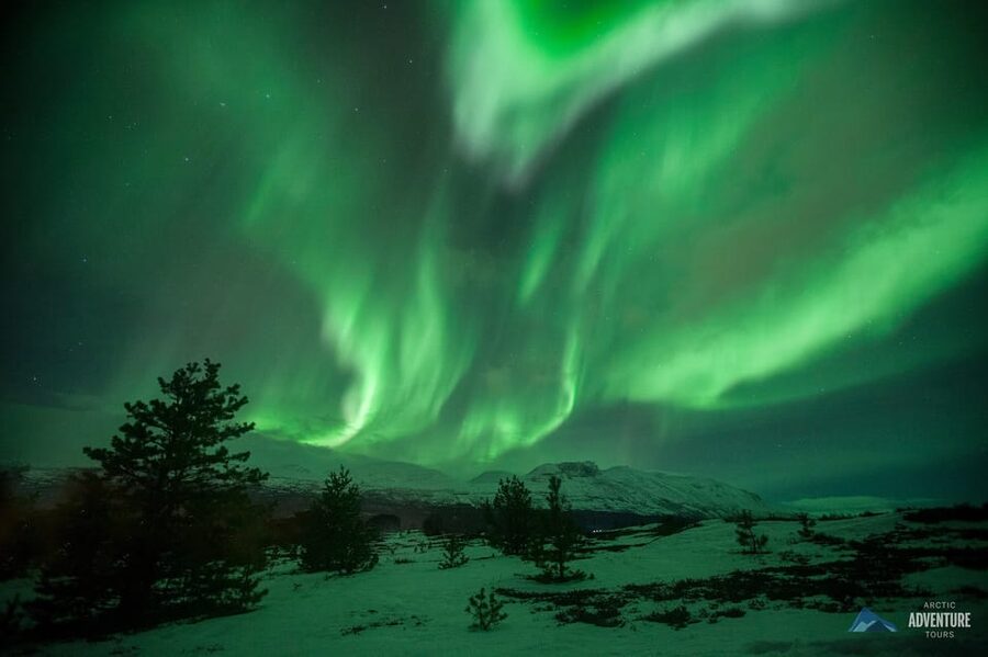 Tromsø: Small Group Northern Lights Hunt - Who will get the most from this tour