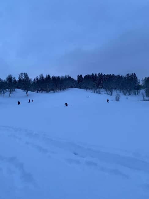 Tromsø: Snow Sledding, Mini Skiing, Lasso and Reindeer Hides - What the 105-minute schedule feels like