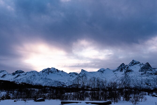 Tromso-Snowshoeing Excursion to Viewpoint - Fitness, group pace, and comfort