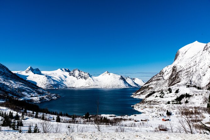 Tromso-Snowshoeing Excursion to Viewpoint - The 30-minute drive from Tromsø to the walking route