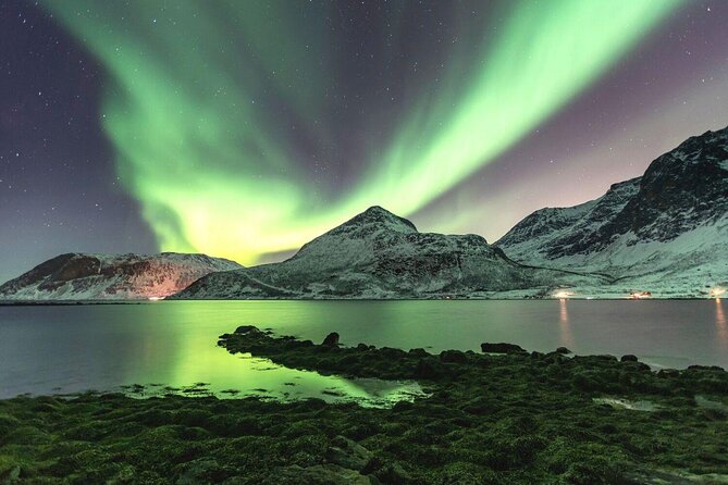 Tromso Snowshoeing - Valley, Fjord Views, Wildlife, Meal & Pickup - Quick take: what makes this Arctic walk worth considering